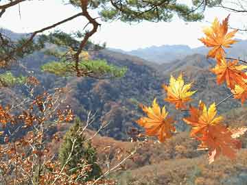 澳門一肖中100%期期準(zhǔn)47神槍|剖析釋義解釋落實(shí)