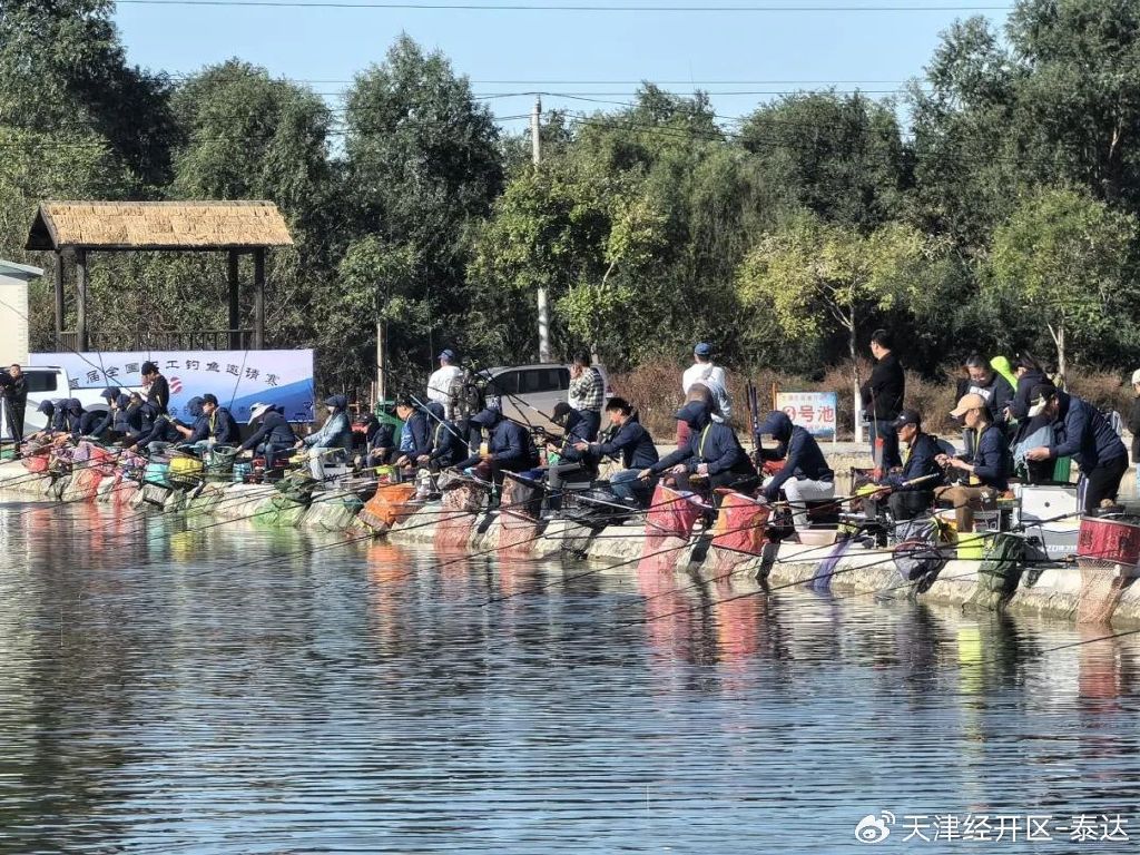 最新天津野釣地點(diǎn)探索與體驗(yàn)