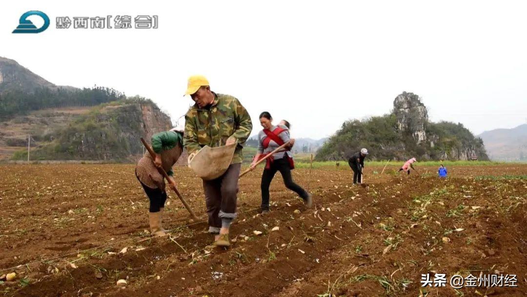 最新興仁下山鎮(zhèn)視頻，揭示一個美麗而充滿活力的鄉(xiāng)村面貌