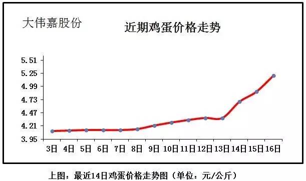 全國最新雞蛋價格行情分析