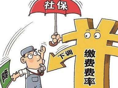 上海最新社?；鶖?shù)